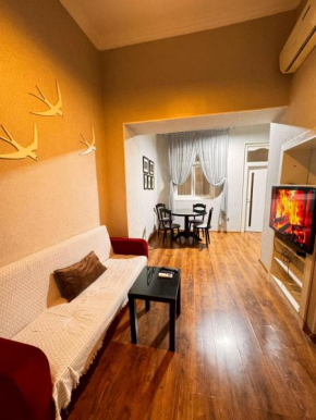 Ground Floor Apartment Nizami Street